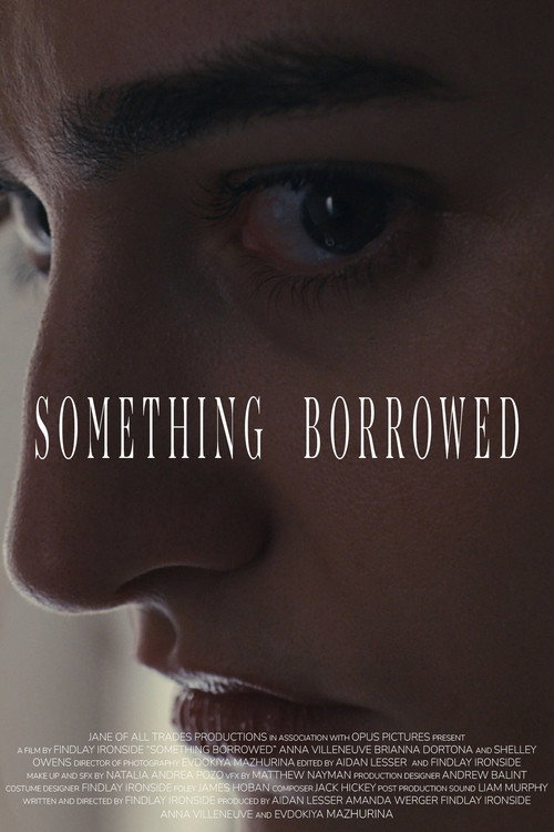 Póster de Something Borrowed
