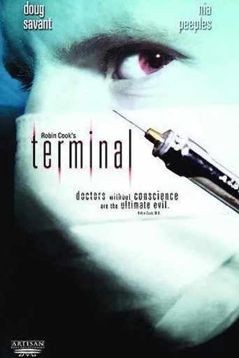 Póster de Terminal