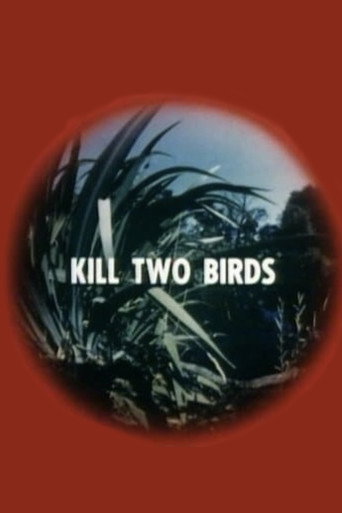 Póster de Kill Two Birds