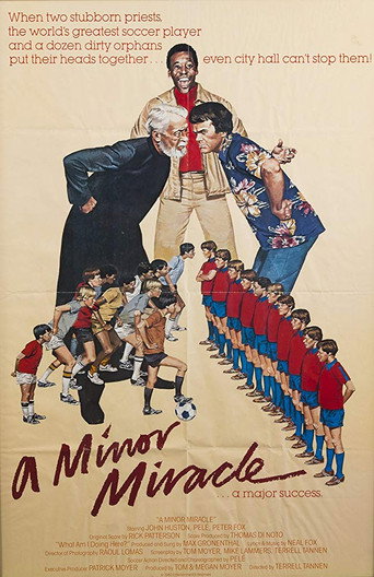 Póster de A Minor Miracle