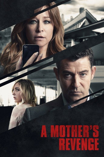 Póster de A Mother's Revenge