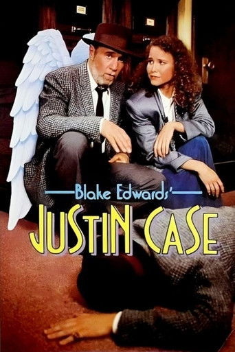 Póster de Justin Case