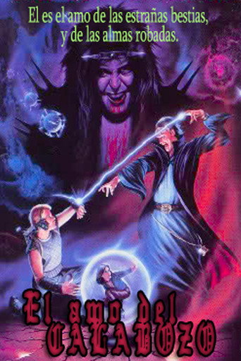 Póster de The Dungeonmaster