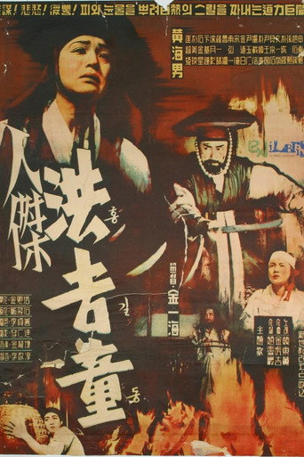 Póster de 인걸 홍길동