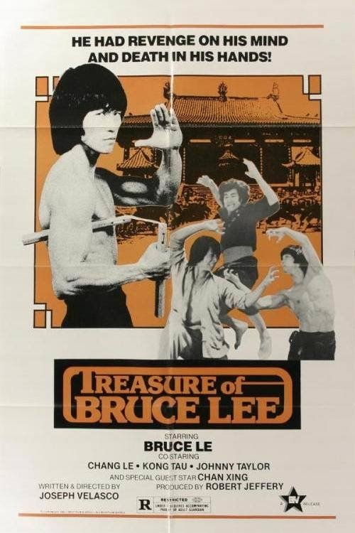 Póster de 拳形五摩達