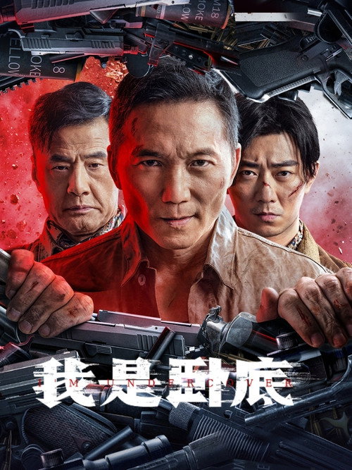 Póster de 我是卧底