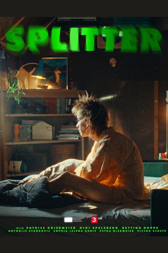 Póster de Splitter