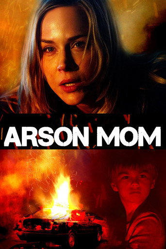 Póster de Sole Custody
