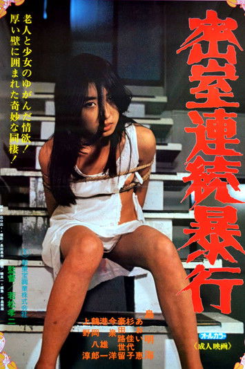 Póster de 密室連続暴行