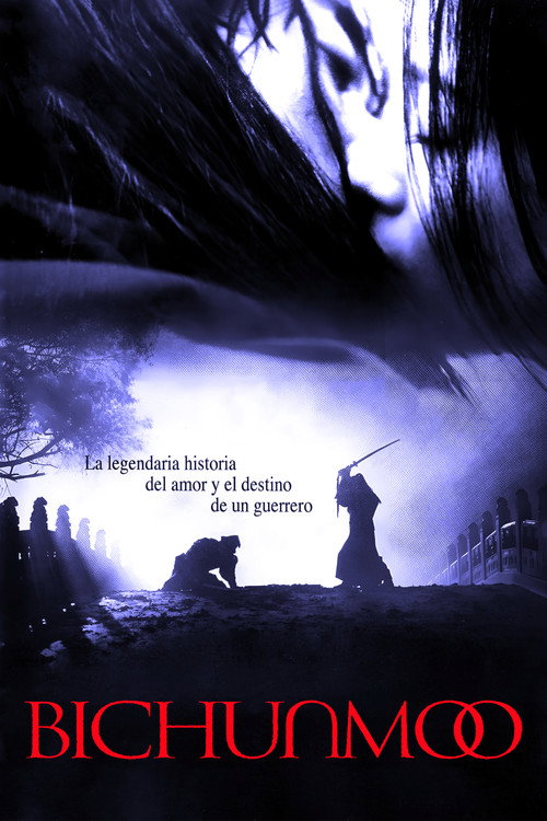 Póster de 비천무