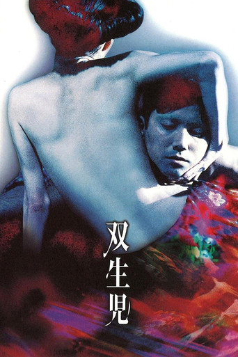 Póster de Gemini