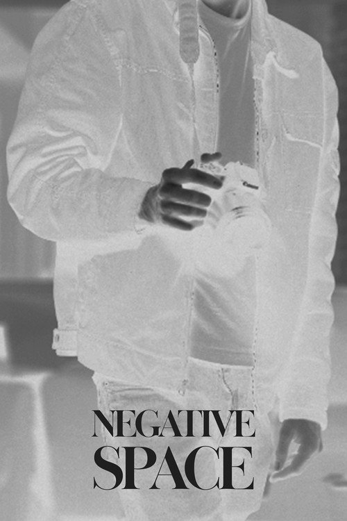 Póster de Negative Space