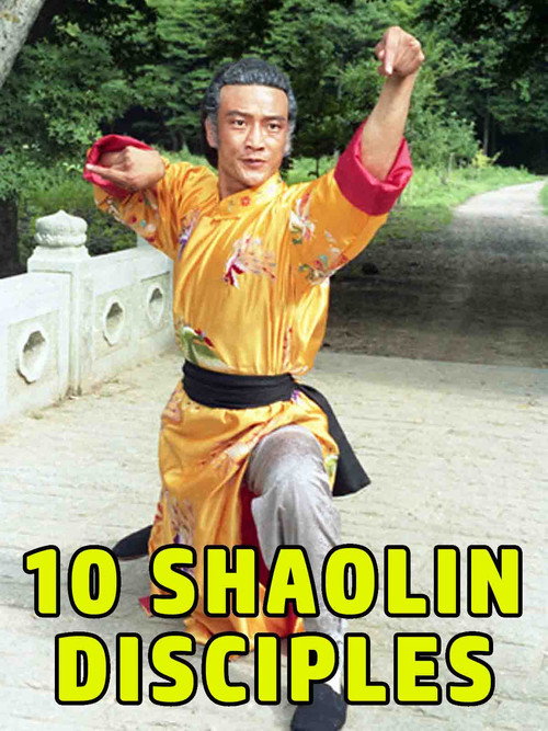 Póster de Shaolin Teenage Heroines