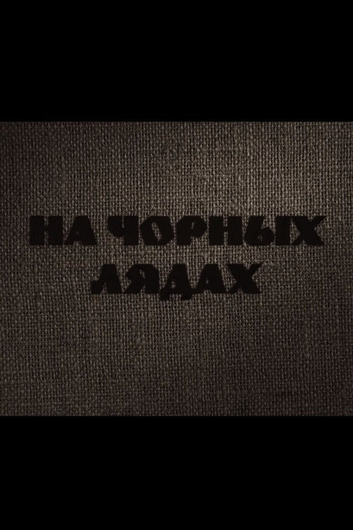 Póster de На чорных лядах