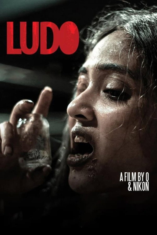Póster de Ludo