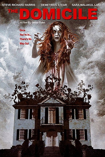 Póster de The Domicile
