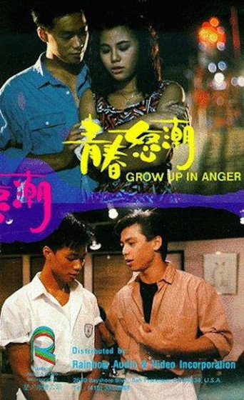 Póster de 青春怒潮