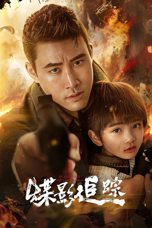 Póster de 蝶影追踪