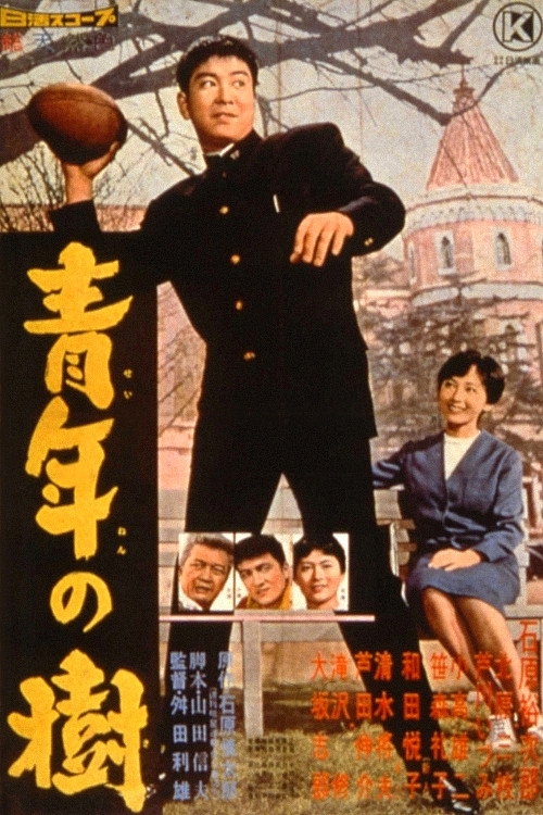 Póster de 青年の樹