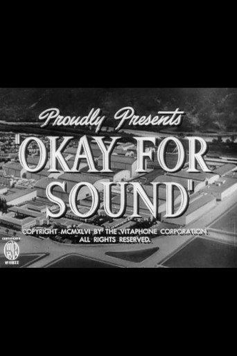 Póster de Okay for Sound