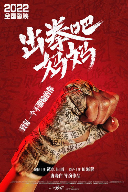 Póster de 出拳吧，妈妈