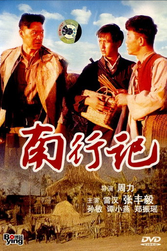 Póster de 南行记