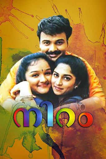 Póster de നിറം