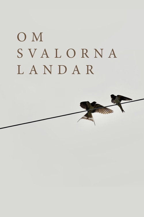 Póster de Om svalorna landar