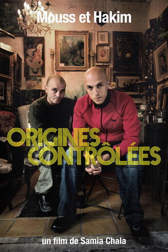 Póster de Mouss et Hakim, origines contrôlées
