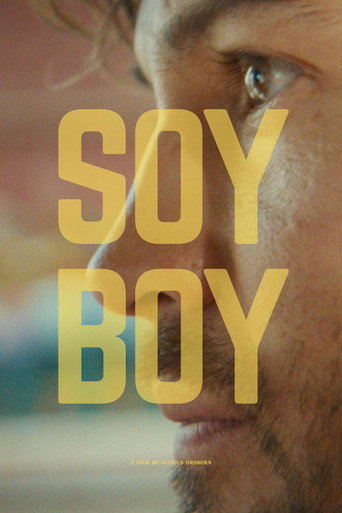 Póster de Soy Boy