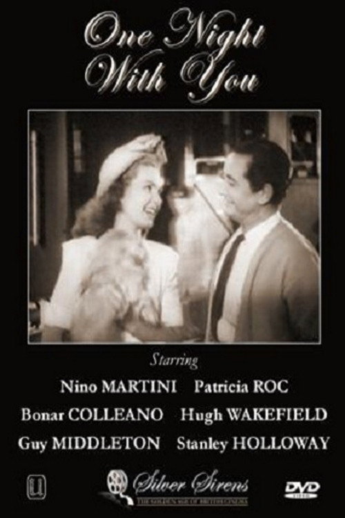 Póster de One Night with You