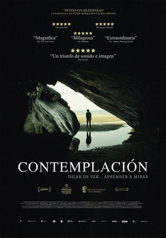 Póster de Notes on Blindness
