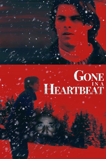 Póster de Gone in a Heartbeat