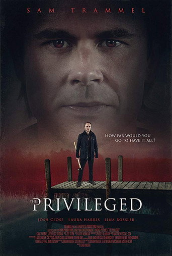 Póster de Privileged