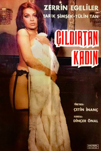 Póster de Çıldırtan Kadın