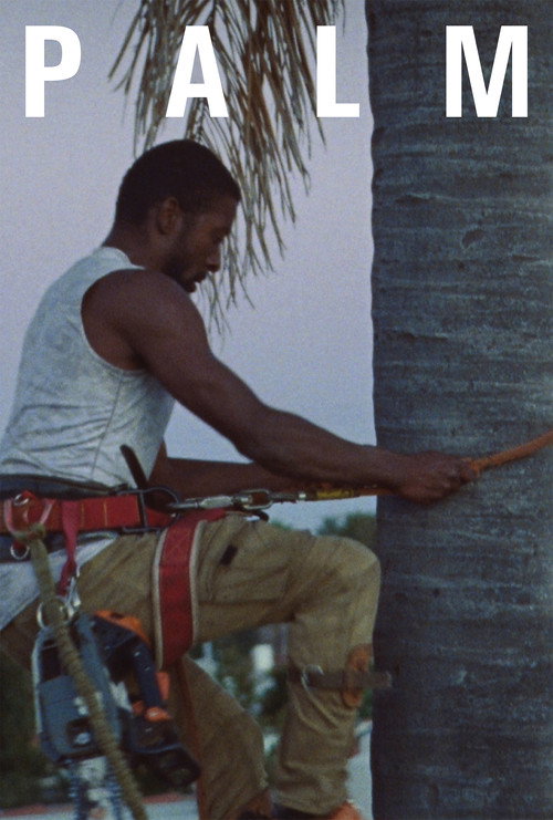 Póster de Palm