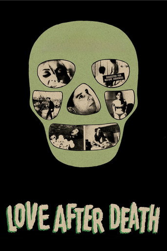 Póster de Love After Death