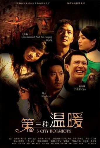 Póster de 第三种温暖