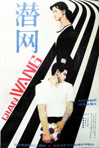 Póster de 潜网
