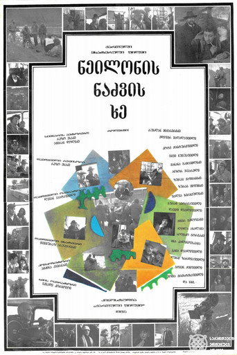 Póster de ნეილონის ნაძვის ხე