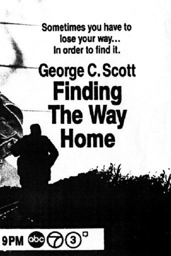 Póster de Finding the Way Home