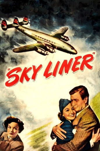 Póster de Sky Liner