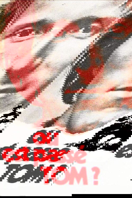 Póster de Où est passé Tom ?