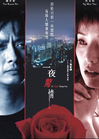 Póster de 一夜驚情