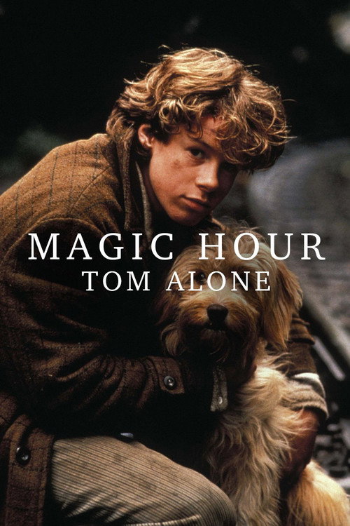 Póster de Last Train Home