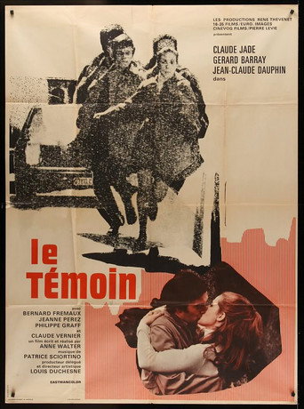 Póster de Le témoin