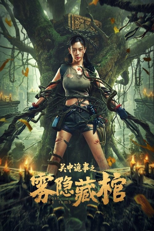Póster de 关中诡事之雾隐藏棺