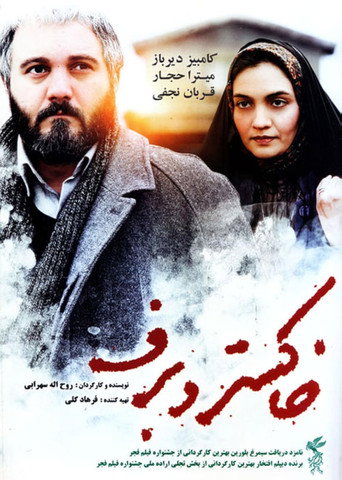 Póster de Ash and Snow