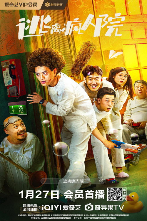 Póster de 逃离疯人院