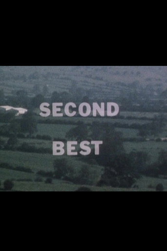 Póster de Second Best
